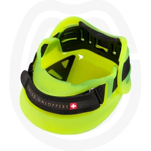 Swiss Gallopers NEON