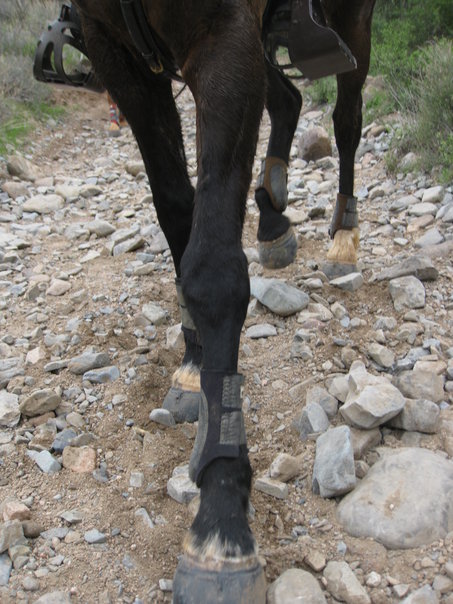 Easyboot Glue-on standard