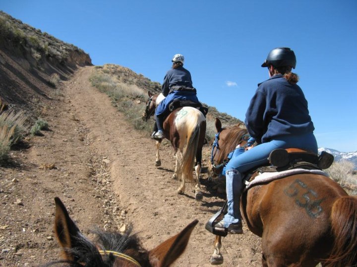 Easyboot Glue-on standard